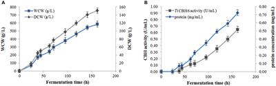 Fine-Tuned Enzymatic Hydrolysis of Organosolv Pretreated Forest Materials for the Efficient Production of Cellobiose